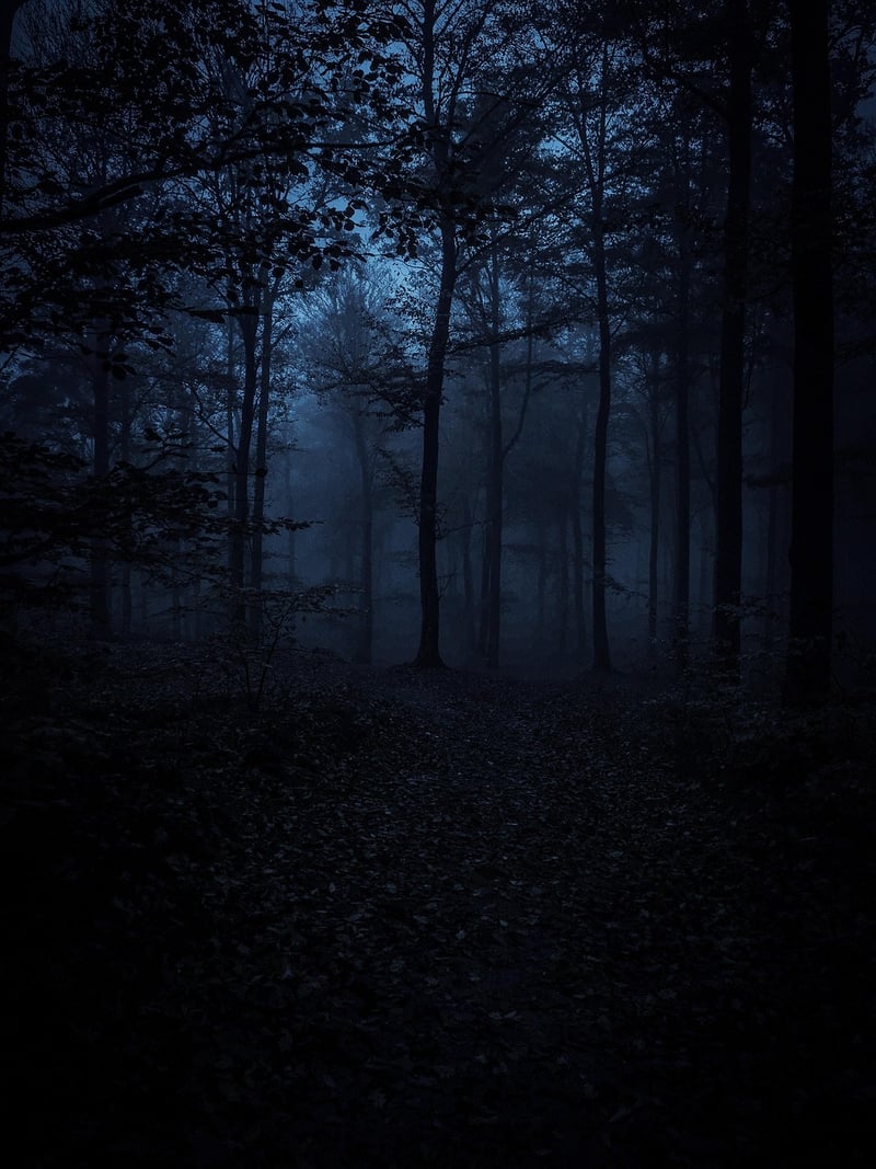 Black Forest, Germany